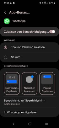 Screenshot_20241205_145512_Settings.jpg