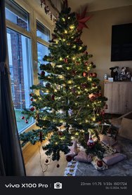 IMG_20241206_160052.jpg