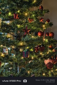 IMG_20241206_160126.jpg
