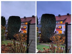 20241206_164904-COLLAGE.jpg