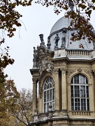 IMG_20241119_115233.jpg