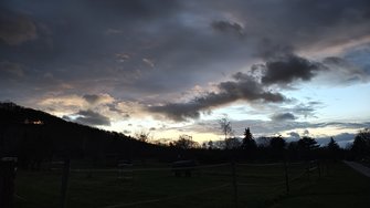 IMG_20241206_165946707_HDR.jpg