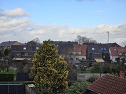 20241207_135700.jpg