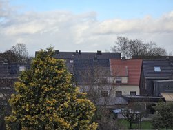 20241207_135702.jpg