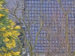 20241207_135718.jpg