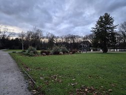 20241207_163428.jpg