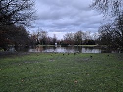 20241207_163158.jpg