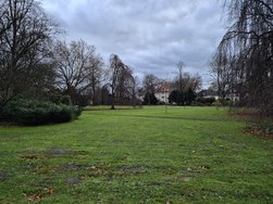 20241207_163045.jpg