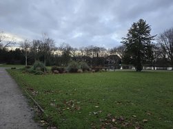 20241207_163411.jpg