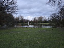 20241207_163148.jpg