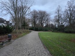20241207_163019.jpg