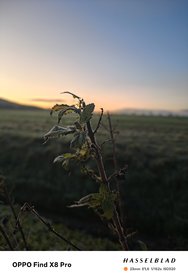 IMG20241208080051.jpg
