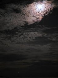 IMG_20241107_204824.jpg