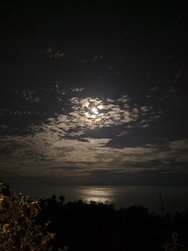 IMG_20241107_204006.jpg