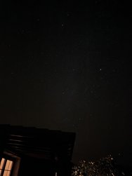 IMG_20241105_051922.jpg