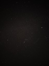 IMG_20241104_061847.jpg
