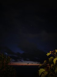 IMG_20241028_193654.jpg