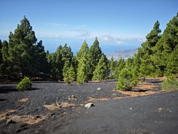 IMG_20241101_125926.jpg