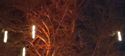 IMG_20241206_172041043.jpg