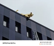 IMG_20241208_140248.jpg