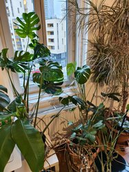 IMG_20241208_131220.jpg