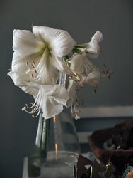 IMG_20241208_131016.jpg
