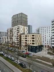 IMG_20241208_130410.jpg