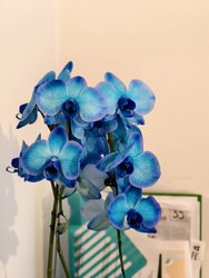 IMG_20241208_130149.jpg
