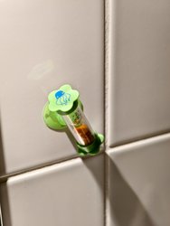 IMG_20241208_130108.jpg