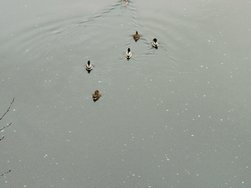 IMG20241202084134.jpg