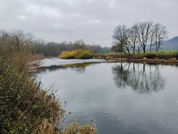 IMG20241204113846.jpg