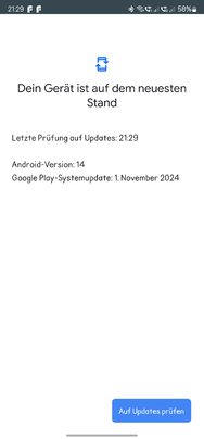 Screenshot_20241209_212947_Google Play Store.jpg