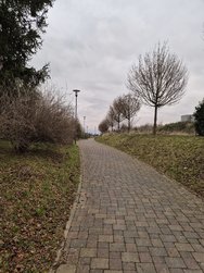 20241209_161845.jpg