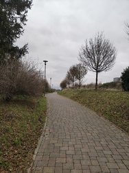 IMG20241209161846.jpg