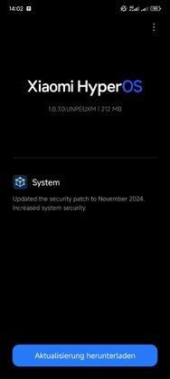 Screenshot_2024-12-10-14-02-16-546_com.android.updater.jpg