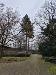 20241210_135414.jpg
