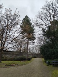 IMG20241210135336.jpg