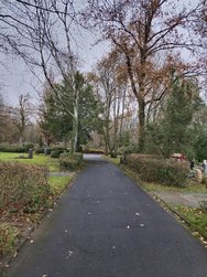 20241210_140637.jpg