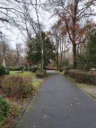 IMG20241210140637.jpg