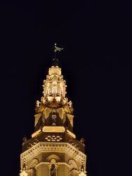 20241208_190643288.JPG