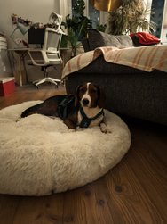 IMG_20241210_205843.jpg