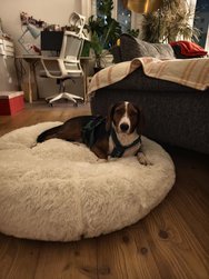 X100Pro_IMG_20241210_205840.jpg