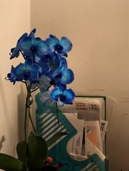 IMG_20241210_210056.jpg