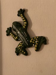 IMG_20241210_210813.jpg
