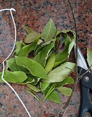 IMG_20241210_172846.jpg