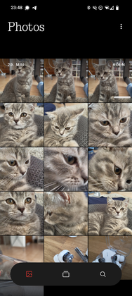 1000053917.png