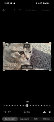 1000053918.png