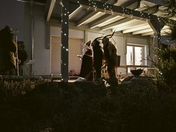 IMG20241205170014.jpg