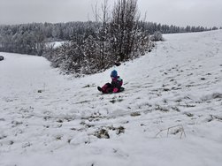 IMG20241208105101.jpg