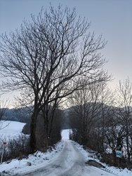 IMG20241210162529.jpg